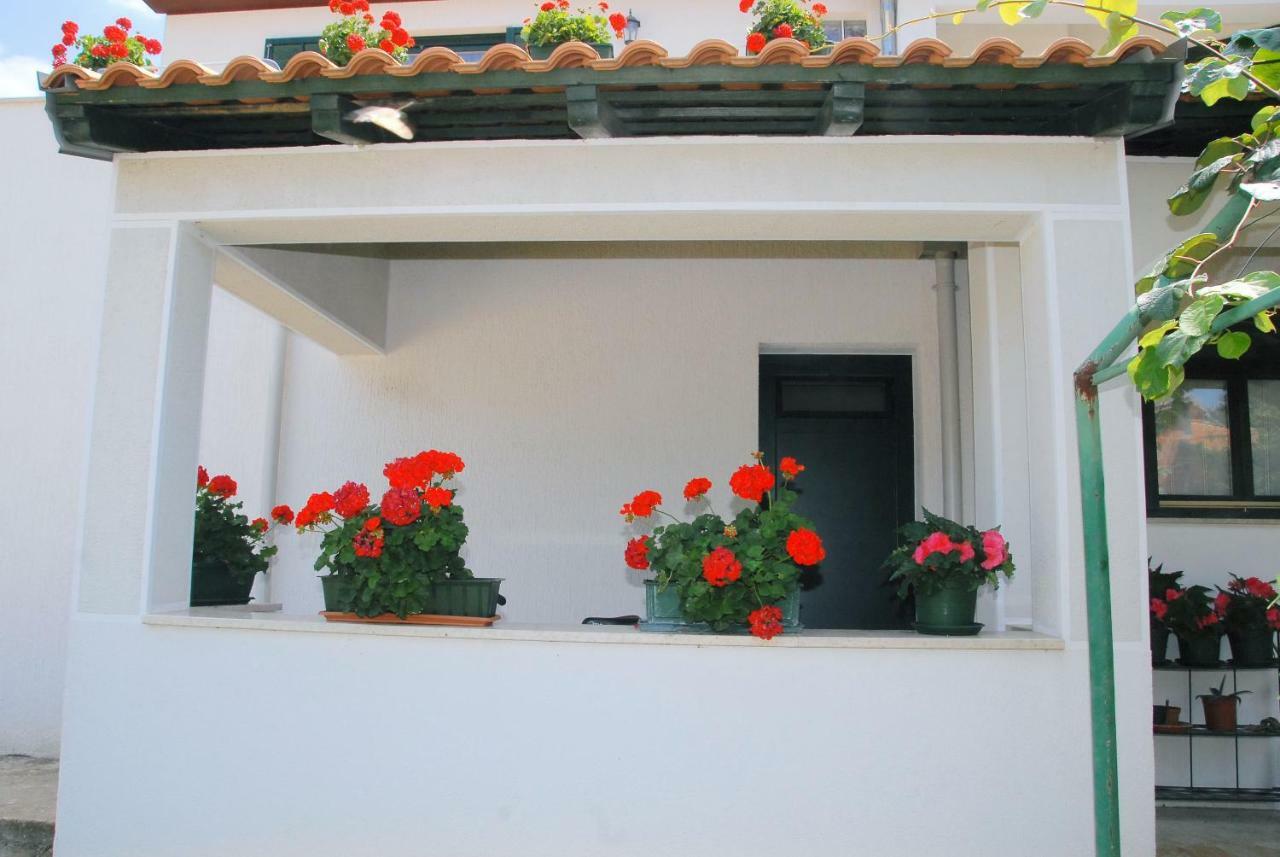 Apartmani Bauk Poreč Dış mekan fotoğraf