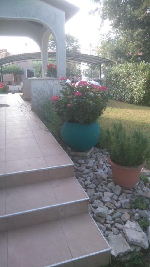 Apartmani Bauk Poreč Dış mekan fotoğraf
