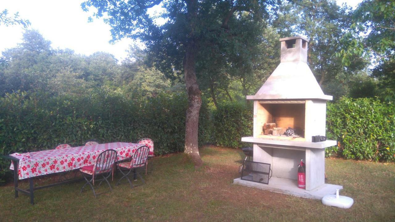 Apartmani Bauk Poreč Dış mekan fotoğraf