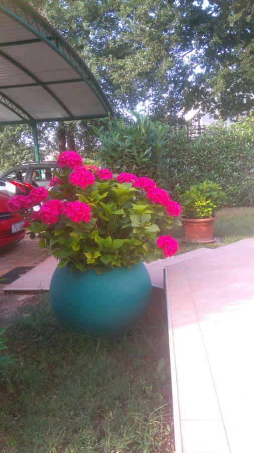 Apartmani Bauk Poreč Dış mekan fotoğraf