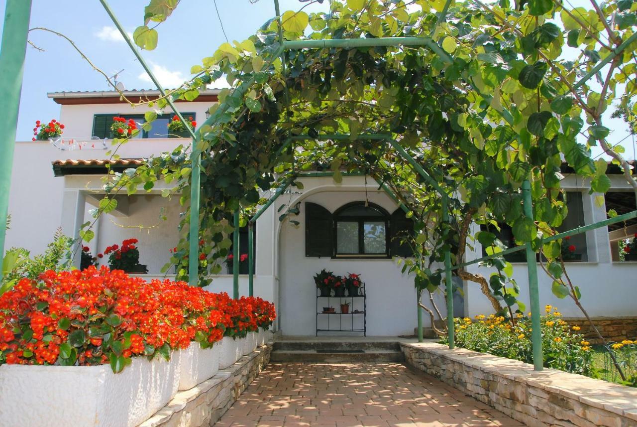 Apartmani Bauk Poreč Dış mekan fotoğraf